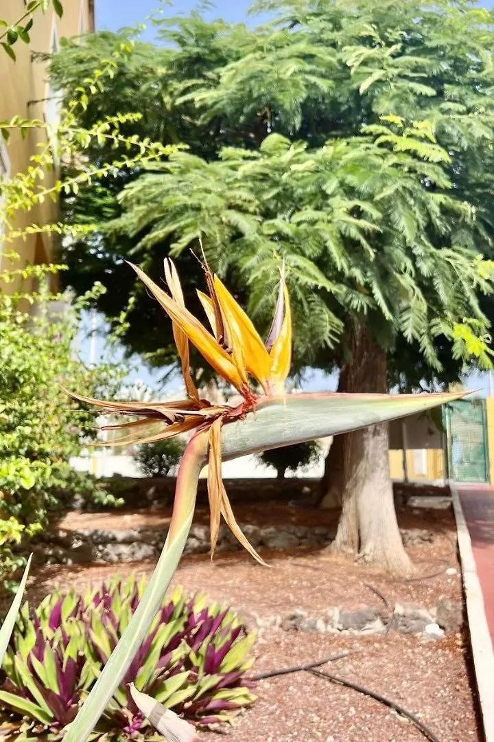 Apartman Cozy Two Bed Apartment. Costa Adeje
