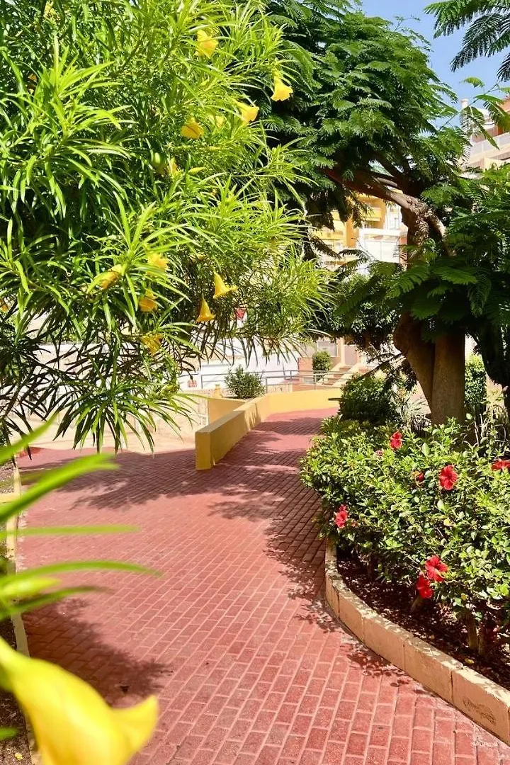 Cozy Two Bed Apartment. Costa Adeje  0*, Costa Adeje (Tenerife) Spanyolország